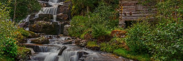 Norwegia, Las, Drzewa, Skały, Wodospad Tvindefossen, Voss, Dom