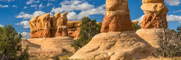 Rośliny, Devils Garden, Stany Zjednoczone, Utah, Skały, Krzewy, Park Narodowy Arches, Formacje skalne