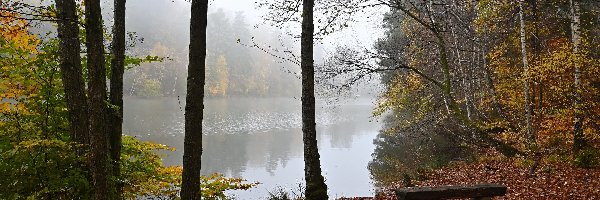 Jesień, Drzewa, Jezioro, Ławka, Liście