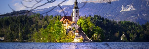 Słowenia, Kościół Wniebowzięcia Najświętszej Marii Panny, Góry, Wyspa, Jezioro Bled, Drzewa, Lasy