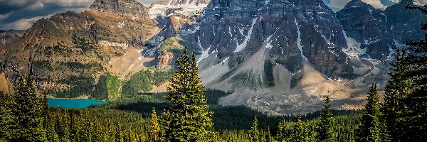 Jezioro Moraine, Drzewa, Kanada, Prowincja Alberta, Kanadyjskie Góry Skaliste, Dolina Dziesięciu Szczytów, Park Narodowy Banff, Las