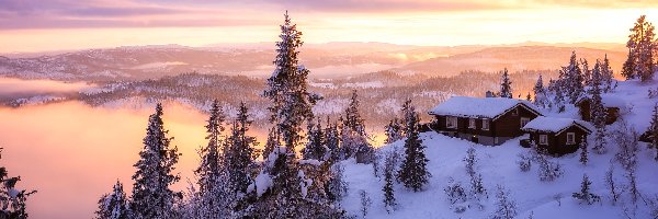 Valdres, Drzewa, Domy, Norwegia, Zima, Zachód słońca