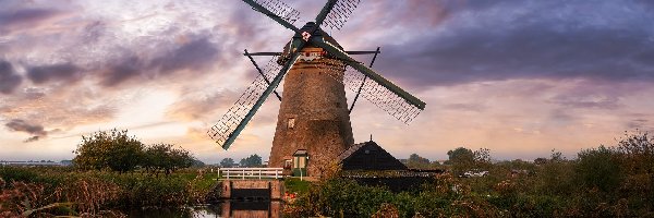 Kinderdijk, Most, Rośliny, Holandia, Rzeka, Wiatrak