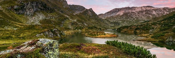 Jezioro Giglachseen, Austria, Roślinność, Góry