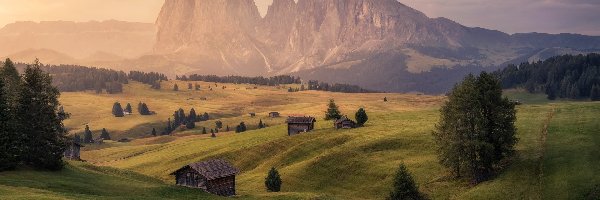 Dolina, Dolomity, Włochy, Płaskowyż Seiser Alm, Domy, Drzewa, Chmury, Góry Sassolungo, Wzgórza, Val Gardena