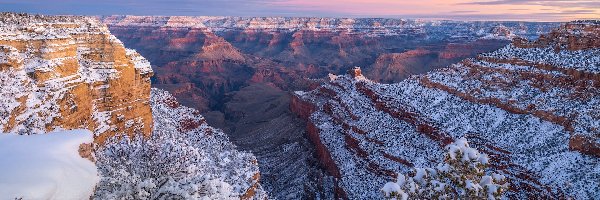 Kanion, Arizona, Drzewo, Zima, Grand Canyon, Park Narodowy Wielkiego Kanionu, Skały, Stany Zjednoczone