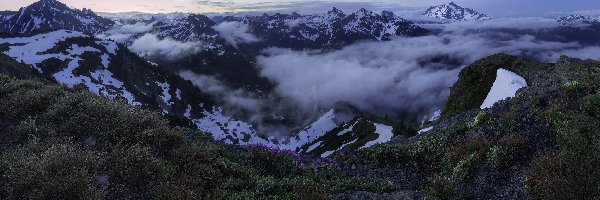 Stany Zjednoczone, Mgła, Rośliny, Góry Kaskadowe, Ośnieżone, Stan Waszyngton, Park Narodowy Północnych Gór Kaskadowych