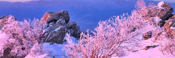 Skały, Zima, Stratowulkan Fudżi, Góra, Wschód słońca, Japonia, Wyspa Honsiu, Mount Fuji, Krzewy