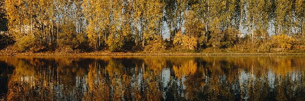 Jesień, Drzewa, Rzeka, Odbicie, Słoneczny blask