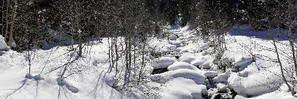 Zima, Las, Strumień, Śnieg, Drzewa