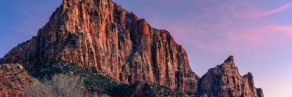 Stany Zjednoczone, Skały, Krzewy, Góra Watchman, Góry, Stan Utah, Park Narodowy Zion