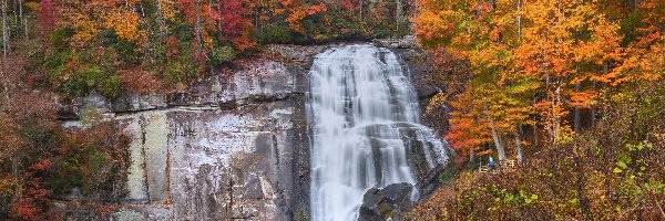 Gorges State Park, Skały, Stany Zjednoczone, Drzewa, Rainbow Falls, Rzeka, Kolorowe, Jesień, Wodospad, Karolina Północna