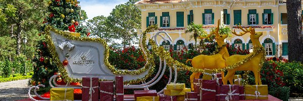 Sanie, Boże Narodzenie, Prowincja Lam Dong, Prezenty, Dom, Hotel, Nowy Rok, Choinka, Zaprzęg, Bao Dai King Palace in Da Lat, Renifery, Wietnam