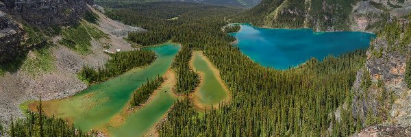 Drzewa, Las, Mary Lake, Jezioro, Góry, Kanada, Park Narodowy Yoho, Jezioro OHara, Park