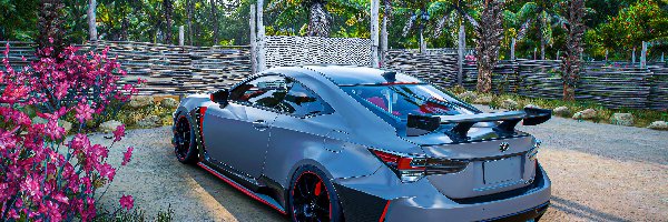 Forza Horizon 5, Niebieski, Lexus RC F, Gra