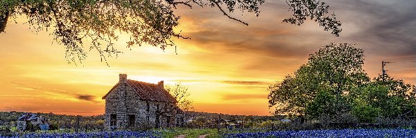 Drzewa, Zachód słońca, Droga, Teksas, Stany Zjednoczone, Bluebonnet House, Dom