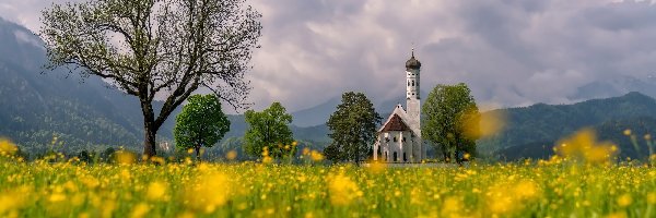 Region Allgau, Alpy, Niemcy, Schwangau, Drzewa, Łąka, Chmury, Góry, Kościół Eglise Saint Coloman, Bawaria