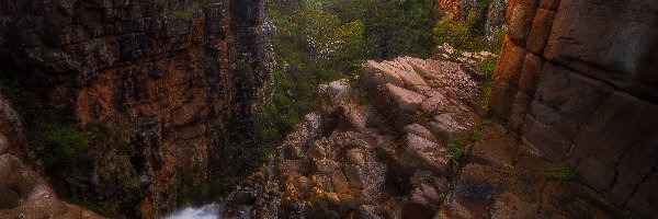 Morialta Conservation Park, Rzeka, Drzewa, Australia, Skały, Góry