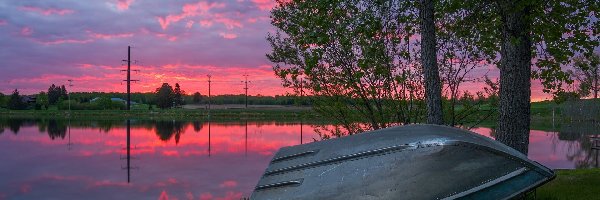 Trawa, Różowe, Stany Zjednoczone, Drzewa, Jezioro, Sand Lake, Łódka, Zachód słońca, Niebo, Wisconsin