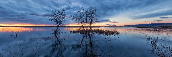 Stany Zjednoczone, Drzewa, Zachód słońca, Chatfield Lake, Jezioro, Kolorado, Park stanowy Chatfield