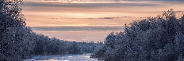 Ośnieżona, Drzewa, Rzeka, Zima