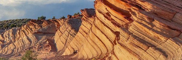 Skała The Wave, Waterholes Canyon, Kanion, Stany Zjednoczone, Arizona