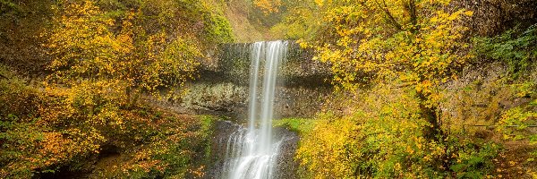 Stany Zjednoczone, Lower South Falls, Żółte, Wodospad, Jesień, Oregon, Drzewa