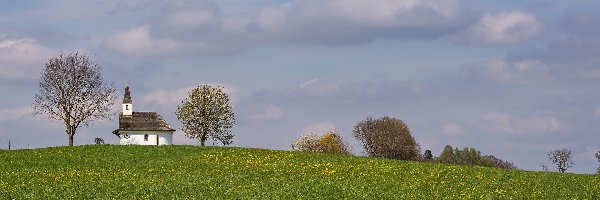 Wiosna, Kaplica, Drzewa, Kościół, Wzgórze, Kwiaty, Łąka