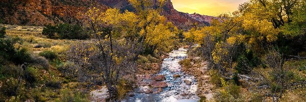 Virgin River, Góra Watchman, Stany Zjednoczone, Stan Utah, Rzeka, Drzewa, Park Narodowy Zion, Góry