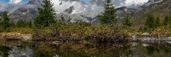 Szwajcaria, Masyw Obergabelhorn Zinalrothorn, Jezioro, Alpy Pennińskie, Góry, Odbicie, Drzewa