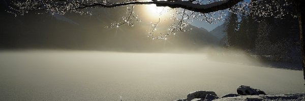 Mgła, Drzewo, Śnieg, Słonce, Jezioro, Zima