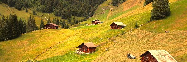 Domy, Zbocze, Pole, Góry