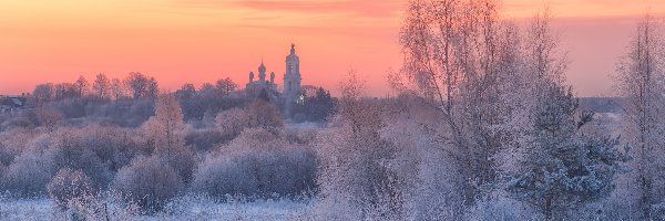 Zima, Rośliny, Szron, Drzewa, Cerkiew