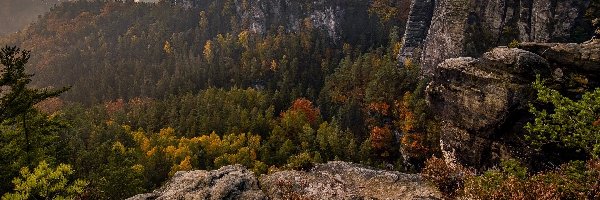 Niemcy, Skały, Bastei, Góry, Jesień, Park Narodowy Saskiej Szwajcarii, Drzewa