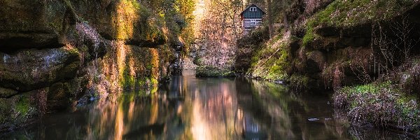 Czechy, Skała, Dom, Drzewa, Las, Park Narodowy Czeska Szwajcaria, Rzeka Kamienica