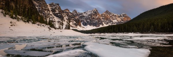 Drzewa, Las, Moraine Lake, Jezioro, Zima, Kanada, Alberta, Góry, Park Narodowy Banff