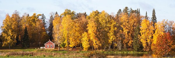 Jesień, Drzewa, Staw, Pole, Dom