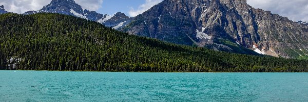 Góry, Waterfowl Lake, Park Narodowy Banff, Prowincja Alberta, Kanada, Drzewa, Mount Chephren, Jezioro, Góra