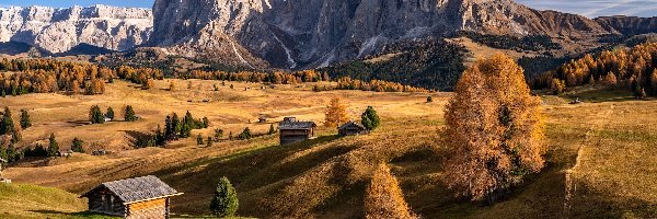 Góry Sassolungo, Płaskowyż Seiser Alm, Jesień, Drzewa, Dolina Val Gardena, Dolomity, Domy, Włochy