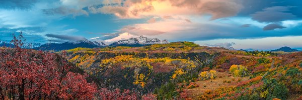 Drzewa, San Juan Mountains, Stany Zjednoczone, Kolorado, Las, Jesień, Chmury, Góry