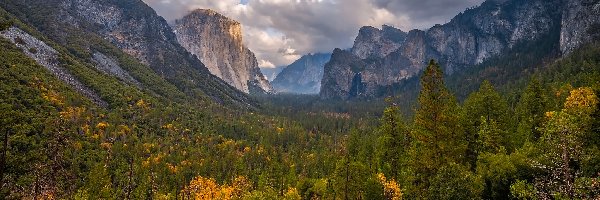 Park Narodowy Yosemite, Stany Zjednoczone, Kalifornia, Góry, Drzewa