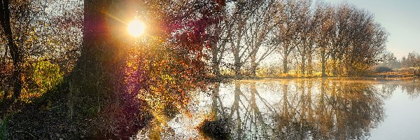 Drzewa, Promienie słońca, Jesień, Staw