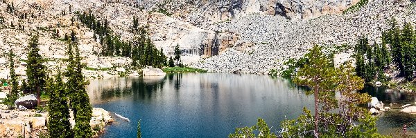 Lyons Lake, Sierra Nevada Mountains, Stany Zjednoczone, Kalifornia, Jezioro, Drzewa, Sosny, Góry