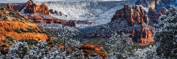 Stany Zjednoczone, Śnieg, Drzewa, Skały, Góry, Arizona, Sedona