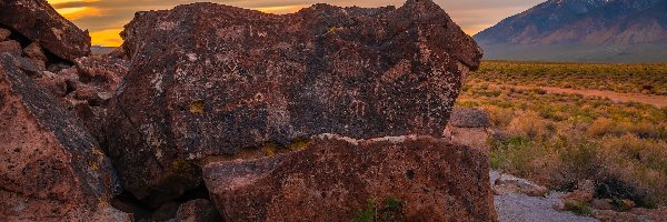 Krzewy, Bishop, Płaskowyż, Kalifornia, Stany Zjednoczone, Skały, Chidago Canyon Petroglyphs