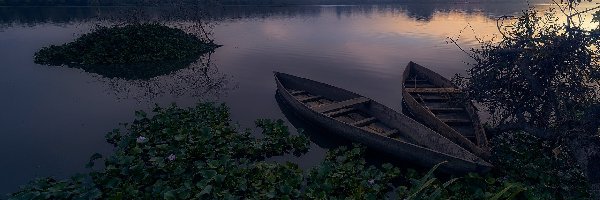 Poranek, Rośliny, Drzewa, Wschód słońca, Łódki, Rzeka