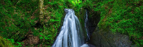 Skały, Wodospad, Niemcy, Mostek, Rausch waterfall, Zielone, Rośliny, Las