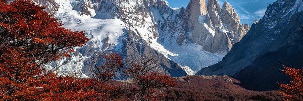 Drzewa, Góry, Andy, Patagonia, Argentyna, Jesień, Ośnieżone