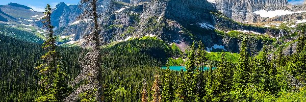 Rośliny, Stany Zjednoczone, Drzewa, Montana, Park Narodowy Glacier, Jezioro, Góry