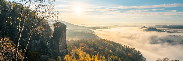 Jesień, Drzewa, Góry Połabskie, Park Narodowy Saskiej Szwajcarii, Niemcy, Wschód słońca, Chmury, Skały, Mgła